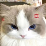 Julia Duong - Facebook