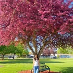 Julia Duong - Facebook