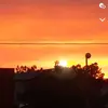 Julia Cotton-Dupuis - @julia.cottondupui - TikTok