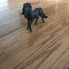 Schleich horses 🐴 - @juliannadupuis - TikTok