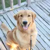 julia_eads - @julia_eads - TikTok