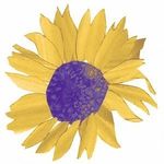 Julia Early - @svolunteercoordinator - Instagram