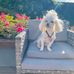 Julia Eckert - Facebook