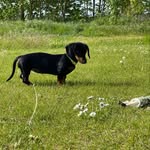 Bertha - @julia_edelmann - Instagram