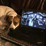 Julie Ellsworth - @jells1 - Instagram