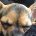Julie Endicott - Facebook