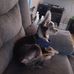 Julie Evilsizer - Facebook
