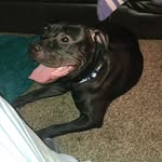 Julia Ewing - @deskmonkey0 - Instagram