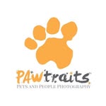 Julie Ewing - @pawtraits_petphotography - Instagram