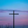 Julia Falcone - @julia.falcone - TikTok