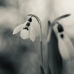 Julia Fell - @photoart_julia_fell - Instagram