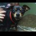 Julie Lynne Whitton Fielding - Facebook