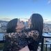 Juliana Flanagan - Facebook