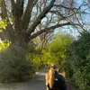 julia - @julia_flemingg - TikTok