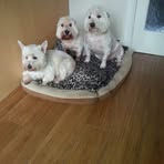 Julie Fogarty - Facebook