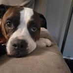 Julie Fortin - Facebook