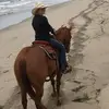 Julia Gabriel - @juleslhorsetraining - TikTok