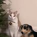 Julia Gaddy - Facebook