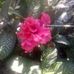 Julia Galicia - Facebook