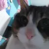 juliaga - @juliagant - TikTok