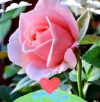 Julia Garces - Facebook