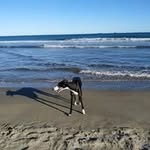 Julia Gascon Carceller - @carcellerjuliagascon - Instagram