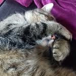 Julia Gebhardt - @who_is_this.fussel - Instagram