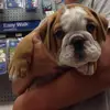 JuliaGeiger - @juliageiger - TikTok