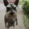 Julia Gilreath - @juliagilreath8746 - TikTok
