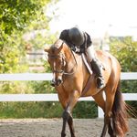 Julia Glover - @juliaglover.eq - Instagram