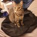 Julia Godwin - Facebook