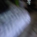 Julia Grady - @julia.grady.58 - Instagram