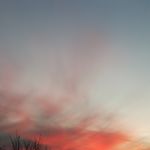 julia grayson - @grayson7548 - Instagram