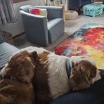 Julie Grayson - Facebook