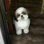 Julie Guanzon Magtibay - @mglhet - Instagram