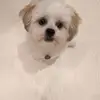 Julie Hackett - @juliehackett1 - TikTok