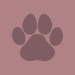 Julie - Your Hackney Dog Walker - @hackneydogwalker - Instagram