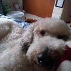 Julia Haggard - Facebook