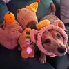 juliahaggerty - @juliahaggerty - TikTok
