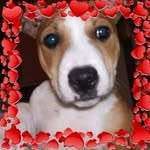 Julie Handley - @julie.handley.33 - Instagram