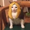 julia - @julia.hanley - TikTok