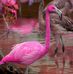 Julia Hardwick - Facebook