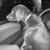 Julia Hardwick - @julia.hardwick - TikTok