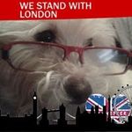Julie Hardwick - @jahardwick1 - Instagram