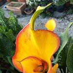 Julie Hardwick - @juliehardwick56 - Instagram