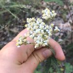 Julia Hawthorne - @juliahawthornepoetry - Instagram