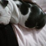 Julie Heard - @julie.heard.777 - Instagram