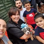 Julie Heard - @julie.heard.908 - Instagram