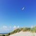 Julia Herbst - Facebook
