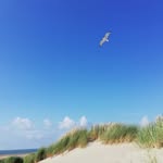 Julia Herbst - @juliaherbst1505 - Instagram